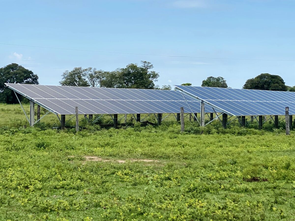 Bifacial Solar Panels