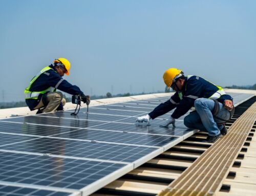 Where to Install Solar Panels: Top Spots