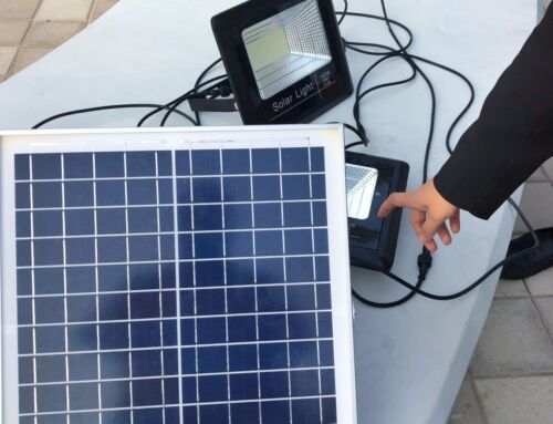 The Ultimate Guide to Solar Landscape Lighting