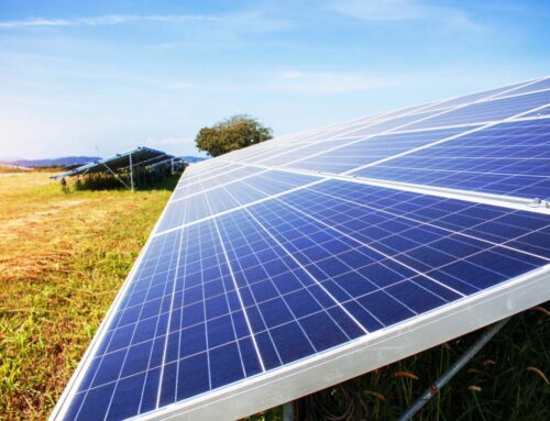 Solar Lights for Yard: Complete Guide for a Brighter Outdoor Space
