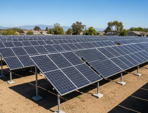 Solar Quotes Dallas Texas: Unlock Big Savings on Energy Bills